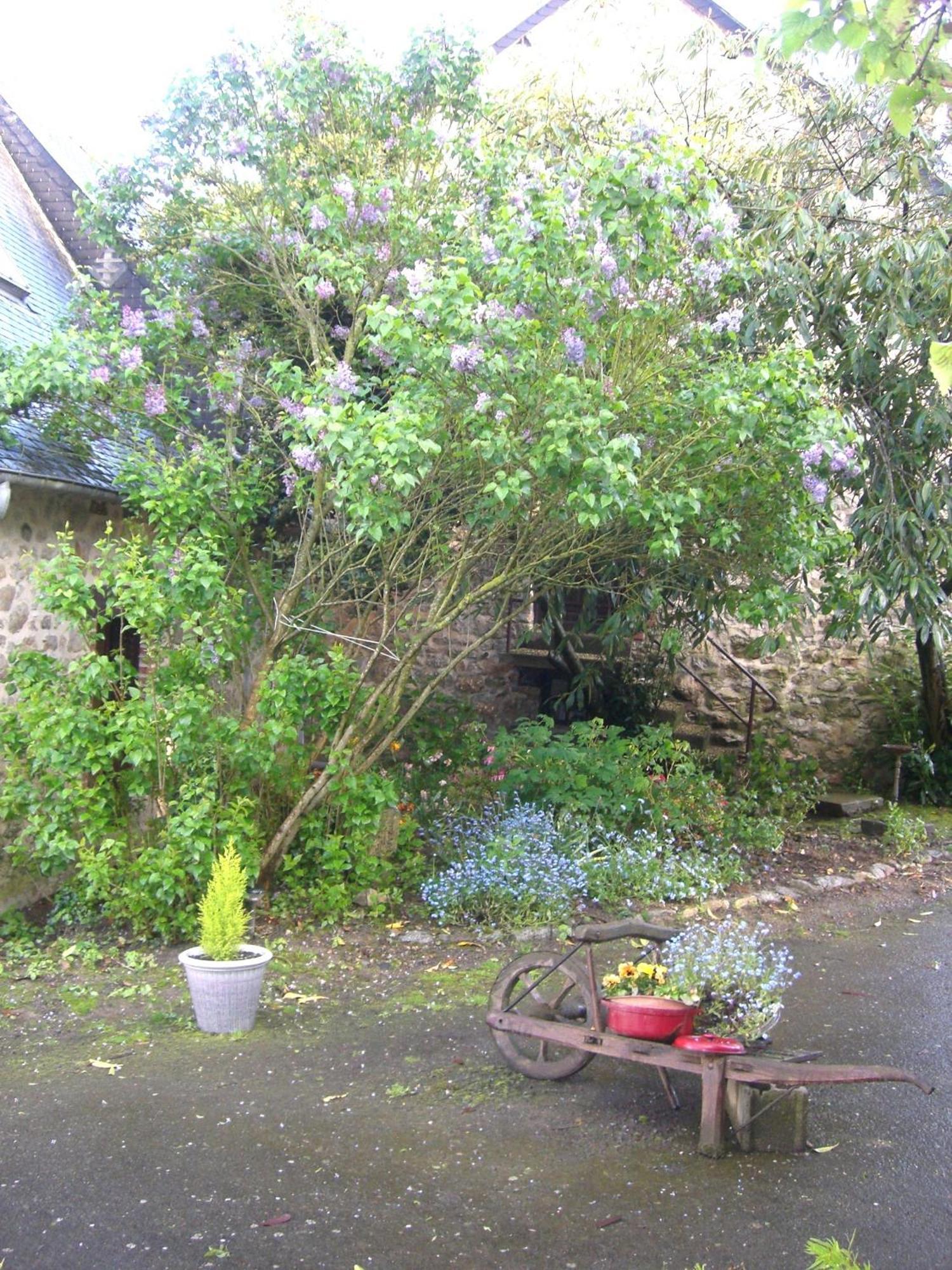 Billé Chambres D'Hotes De La Ferme Auberge De Mesauboin מראה חיצוני תמונה